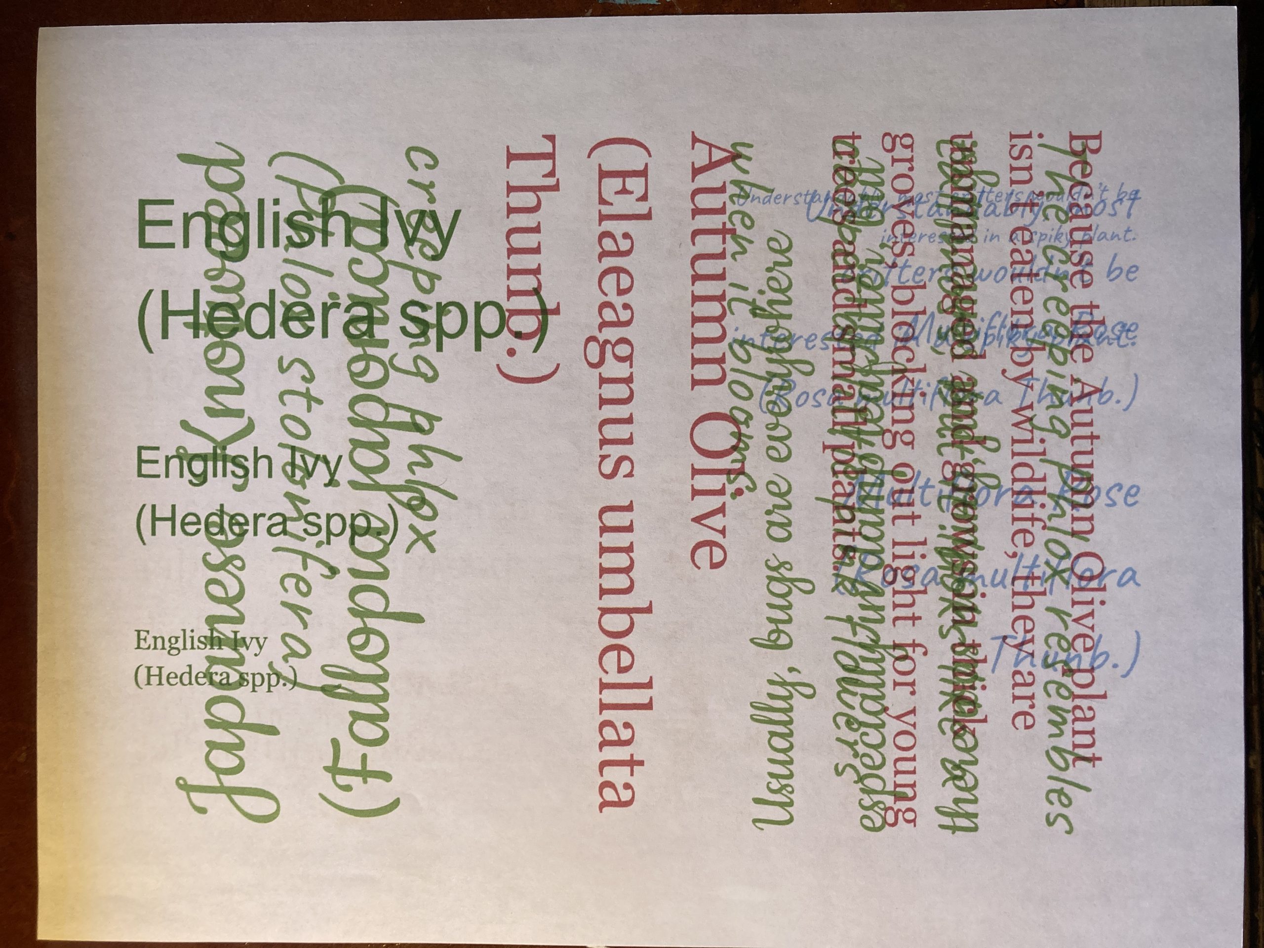 A piece of paper with overlapping colorful letters.
