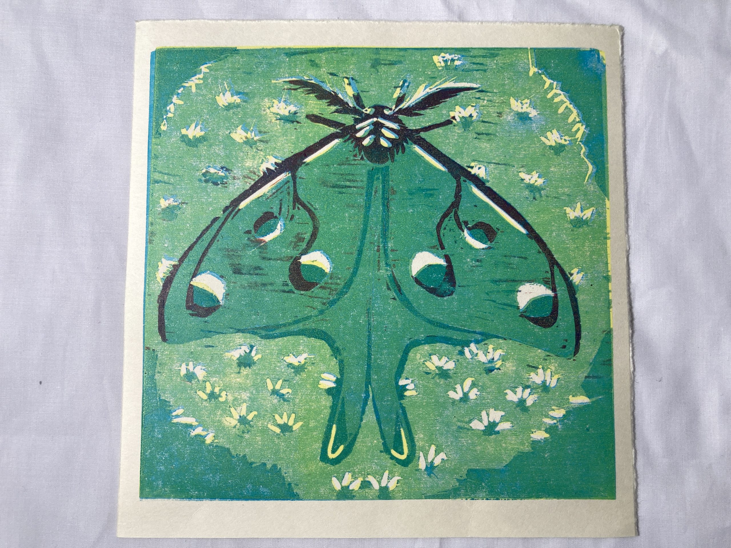 A woodcut print inspired by a Luna moth.